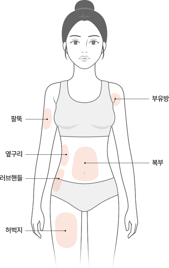 여우각 바디 주사